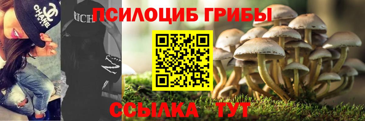 Галлюциногенные грибы мицелий Ржев